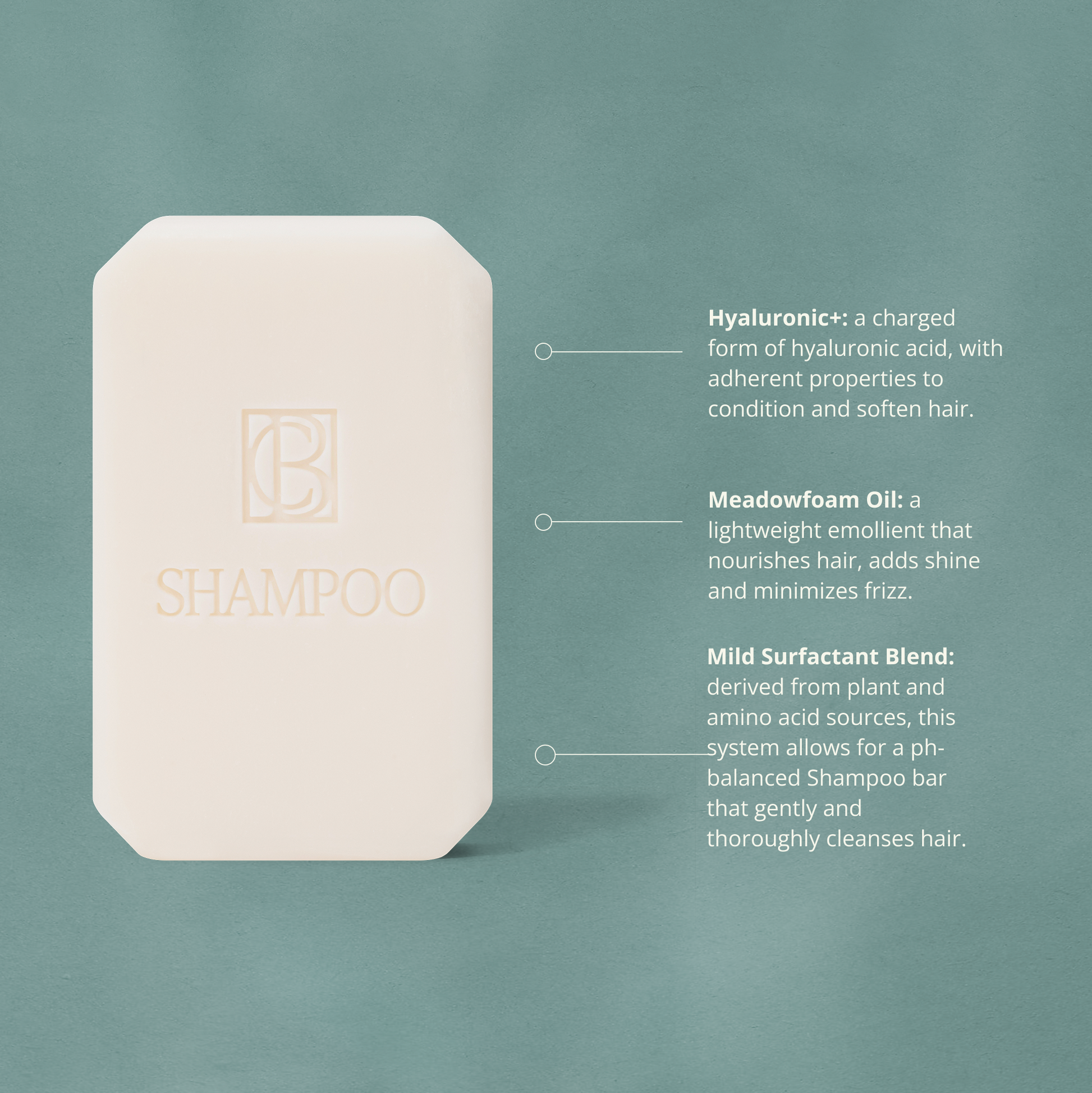 Shampoo bar with text on a green background